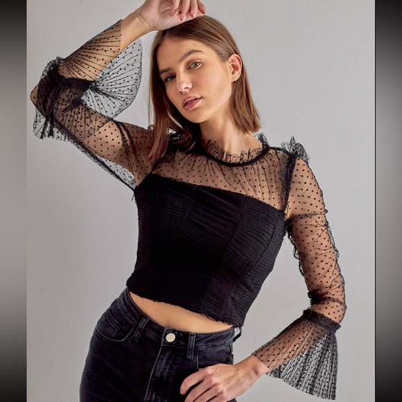 New Dotted Lace Cropped Top Blouse - Picture 2 of 4